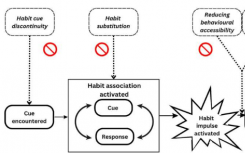 新研究挑战了流行心理学关于习惯的迷思