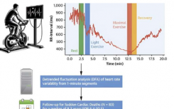 研究人员开发出一种通过一分钟心率预测心脏猝死的方法