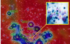 高速旋转的婴儿恒星像一群蜜蜂一样围绕超大质量黑洞 Sgr A* 旋转