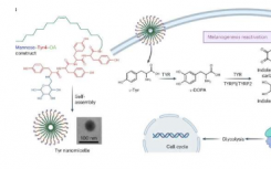 科学家利用酪氨酸纳米药物阻止黑色素瘤的生长