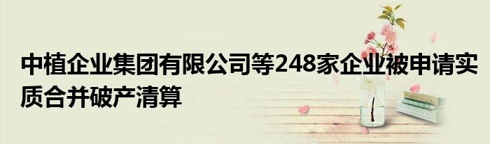 中植企业集团有限公司等248家企业被申请实质合并破产清算