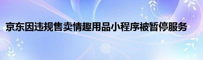 京东因违规售卖情趣用品小程序被暂停服务