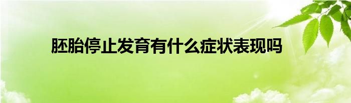 胚胎停止发育有什么症状表现吗