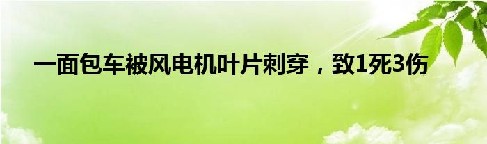 一面包车被风电机叶片刺穿，致1死3伤