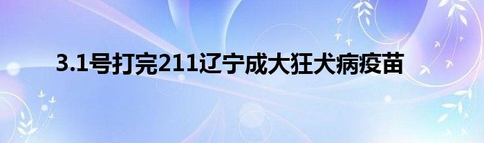 3.1号打完211辽宁成大狂犬病疫苗