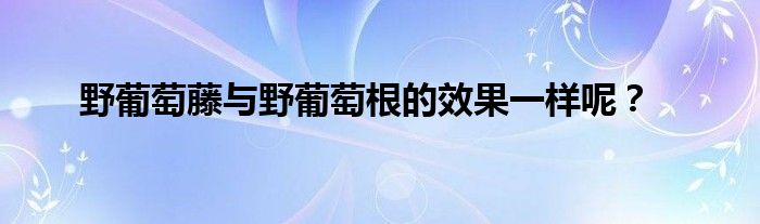 野葡萄藤与野葡萄根的效果一样呢？