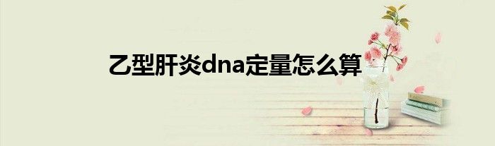 乙型肝炎dna定量怎么算