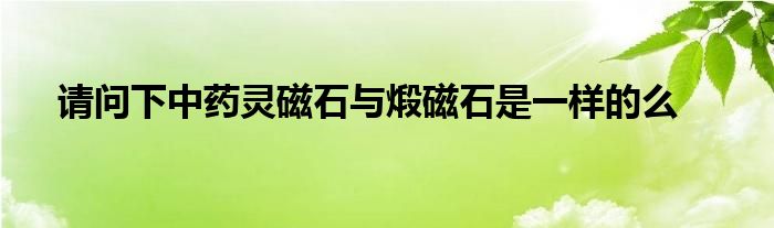 请问下中药灵磁石与煅磁石是一样的么