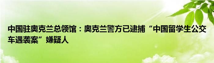 中国驻奥克兰总领馆：奥克兰警方已逮捕“中国留学生公交车遇袭案”嫌疑人