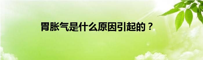 胃胀气是什么原因引起的？