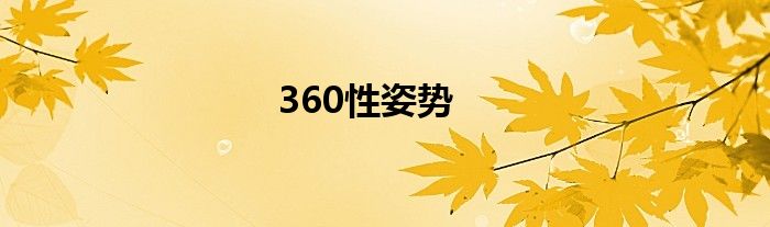 360性姿势