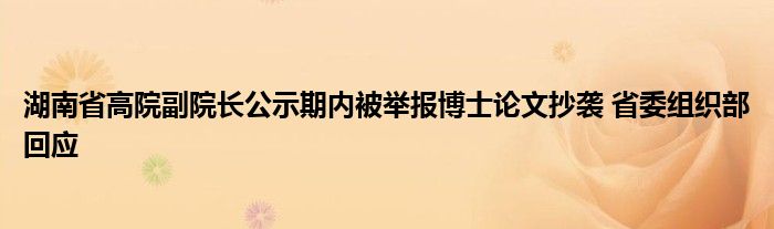 湖南省高院副院长公示期内被举报博士论文抄袭 省委组织部回应