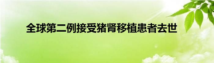 全球第二例接受猪肾移植患者去世