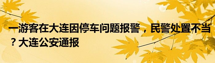 一游客在大连因停车问题报警，民警处置不当？大连公安通报