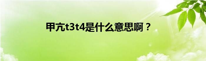 甲亢t3t4是什么意思啊？