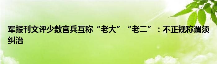 军报刊文评少数官兵互称“老大”“老二”：不正规称谓须纠治