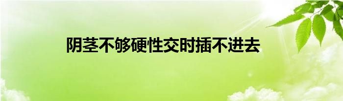 阴茎不够硬性交时插不进去