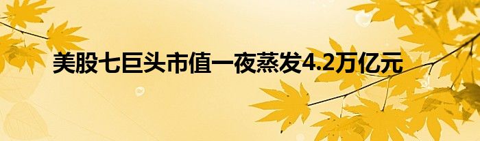 美股七巨头市值一夜蒸发4.2万亿元