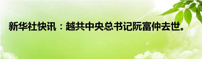 新华社快讯：越共中央总书记阮富仲去世。