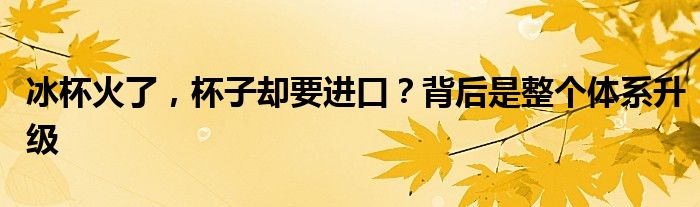 冰杯火了，杯子却要进口？背后是整个体系升级