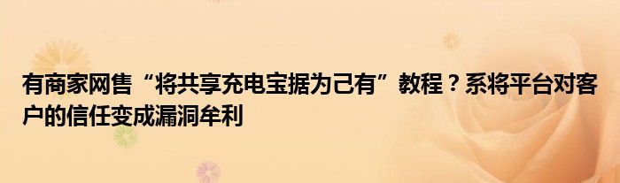 有商家网售“将共享充电宝据为己有”教程？系将平台对客户的信任变成漏洞牟利