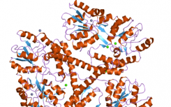 研究发现 siRNA 无法减少细胞核中的突变亨廷顿基因 mRNA