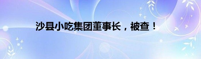 沙县小吃集团董事长，被查！