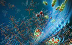 微观结构单元：揭秘新型双功能超分子结构