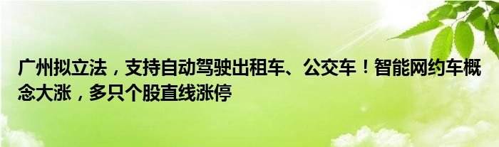 广州拟立法，支持自动驾驶出租车、公交车！智能网约车概念大涨，多只个股直线涨停