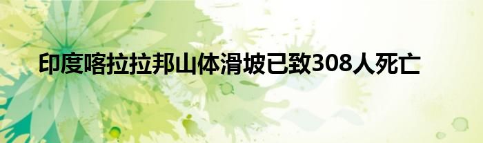 印度喀拉拉邦山体滑坡已致308人死亡