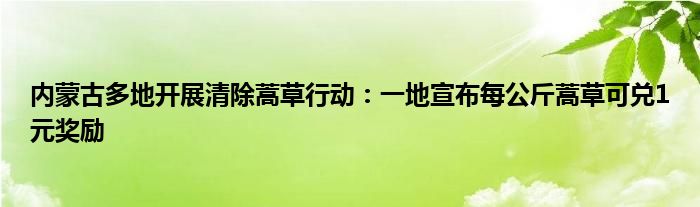 内蒙古多地开展清除蒿草行动：一地宣布每公斤蒿草可兑1元奖励