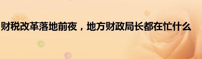 财税改革落地前夜，地方财政局长都在忙什么