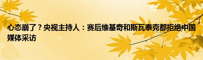 心态崩了？央视主持人：赛后维基奇和斯瓦泰克都拒绝中国媒体采访