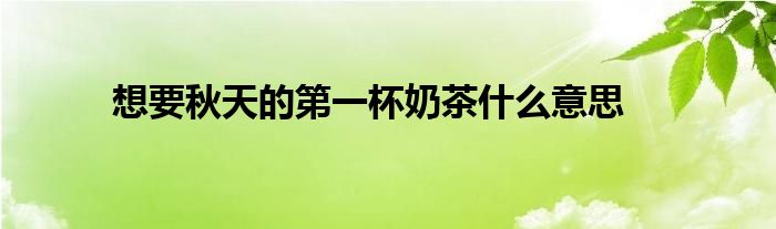 想要秋天的第一杯奶茶什么意思