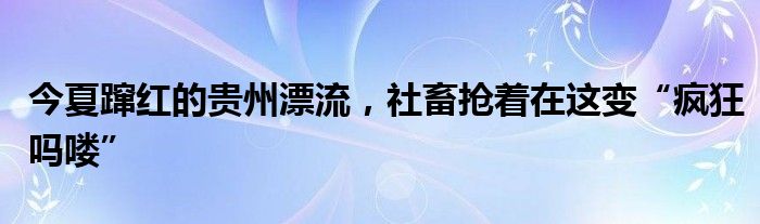 今夏蹿红的贵州漂流，社畜抢着在这变“疯狂吗喽”