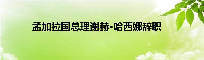 孟加拉国总理谢赫·哈西娜辞职