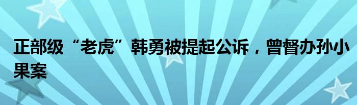 正部级“老虎”韩勇被提起公诉，曾督办孙小果案