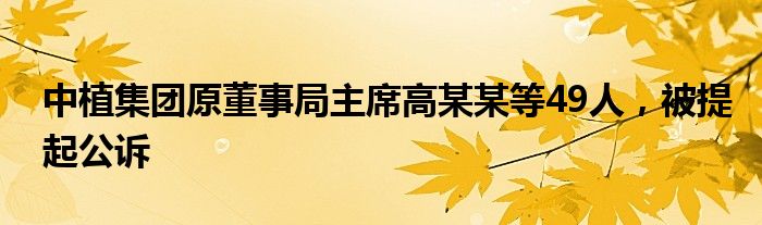 中植集团原董事局主席高某某等49人，被提起公诉