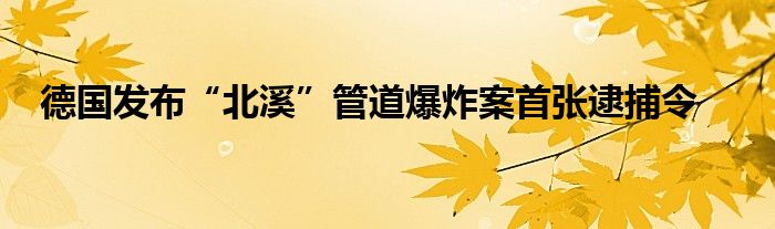 德国发布“北溪”管道爆炸案首张逮捕令