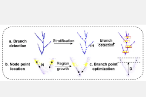 研究团队开发出SCAG算法利用LiDAR数据对大豆枝条进行精确检测和角度计算