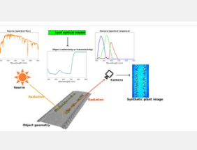 新的辐射传输建模框架增强了植物表型的深度学习