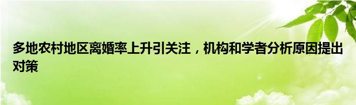 多地农村地区离婚率上升引关注，机构和学者分析原因提出对策