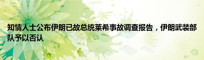 知情人士公布伊朗已故总统莱希事故调查报告，伊朗武装部队予以否认