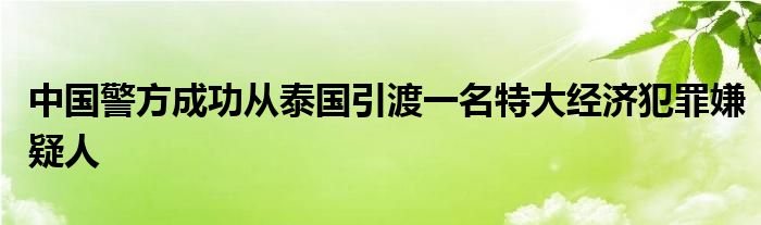 中国警方成功从泰国引渡一名特大经济犯罪嫌疑人