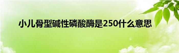 小儿骨型碱性磷酸酶是250什么意思