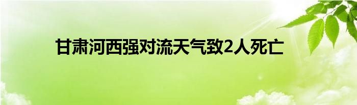 甘肃河西强对流天气致2人死亡