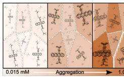 研究人员合成用于太阳能应用的分子聚集体