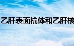 乙肝表面抗体和乙肝核心抗体偏高是什么回事