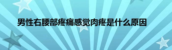 男性右腰部疼痛感觉肉疼是什么原因