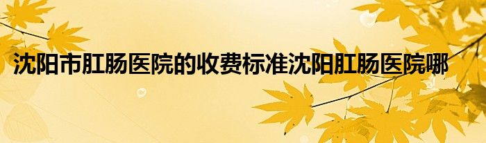 沈阳市肛肠医院的收费标准沈阳肛肠医院哪